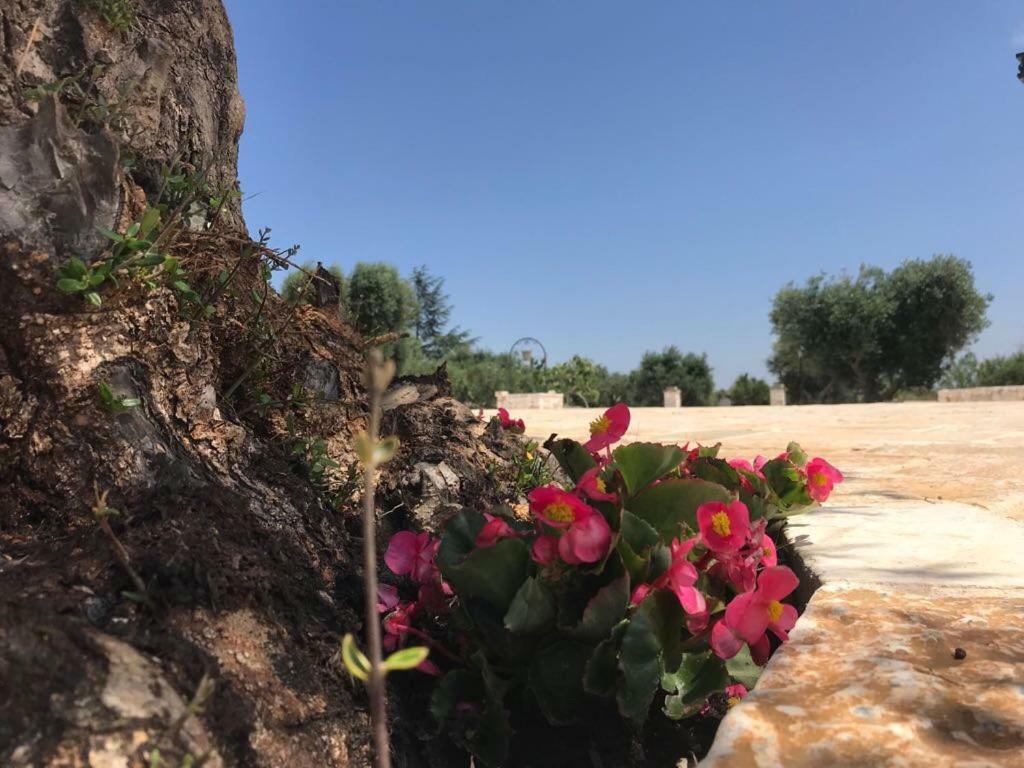 Trulli Da Lalli 오스투니 외부 사진